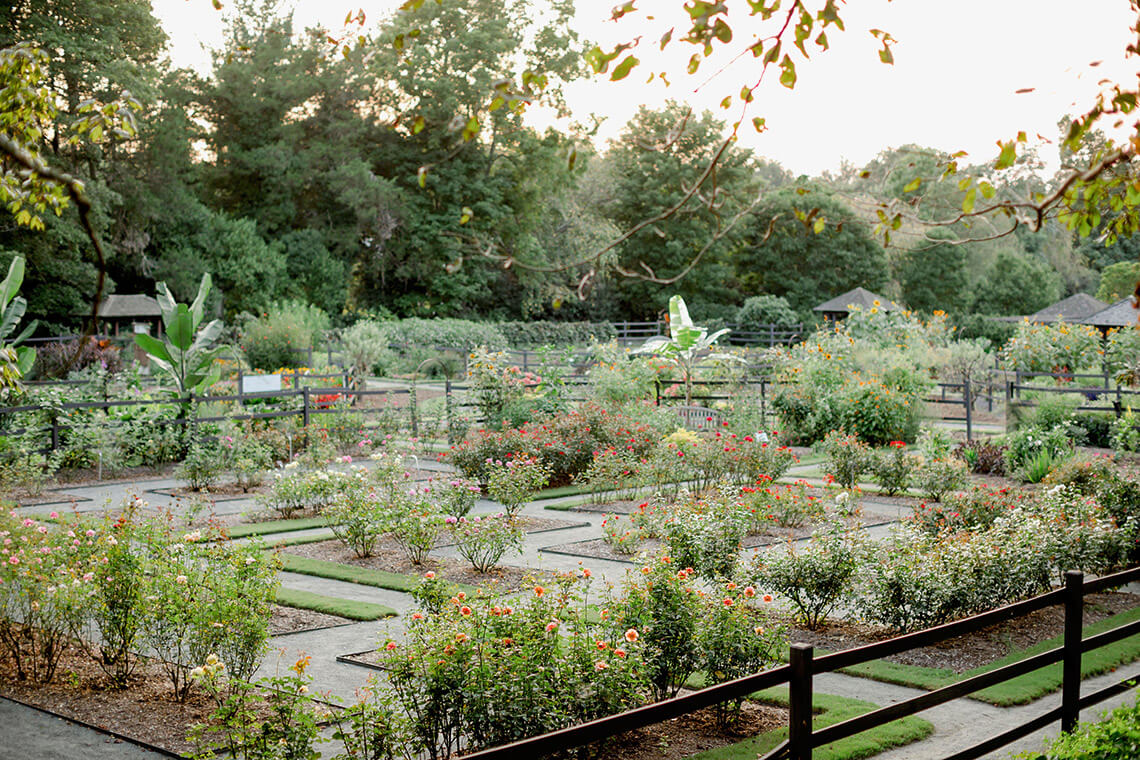 Formal Gardens at Reynolda Village