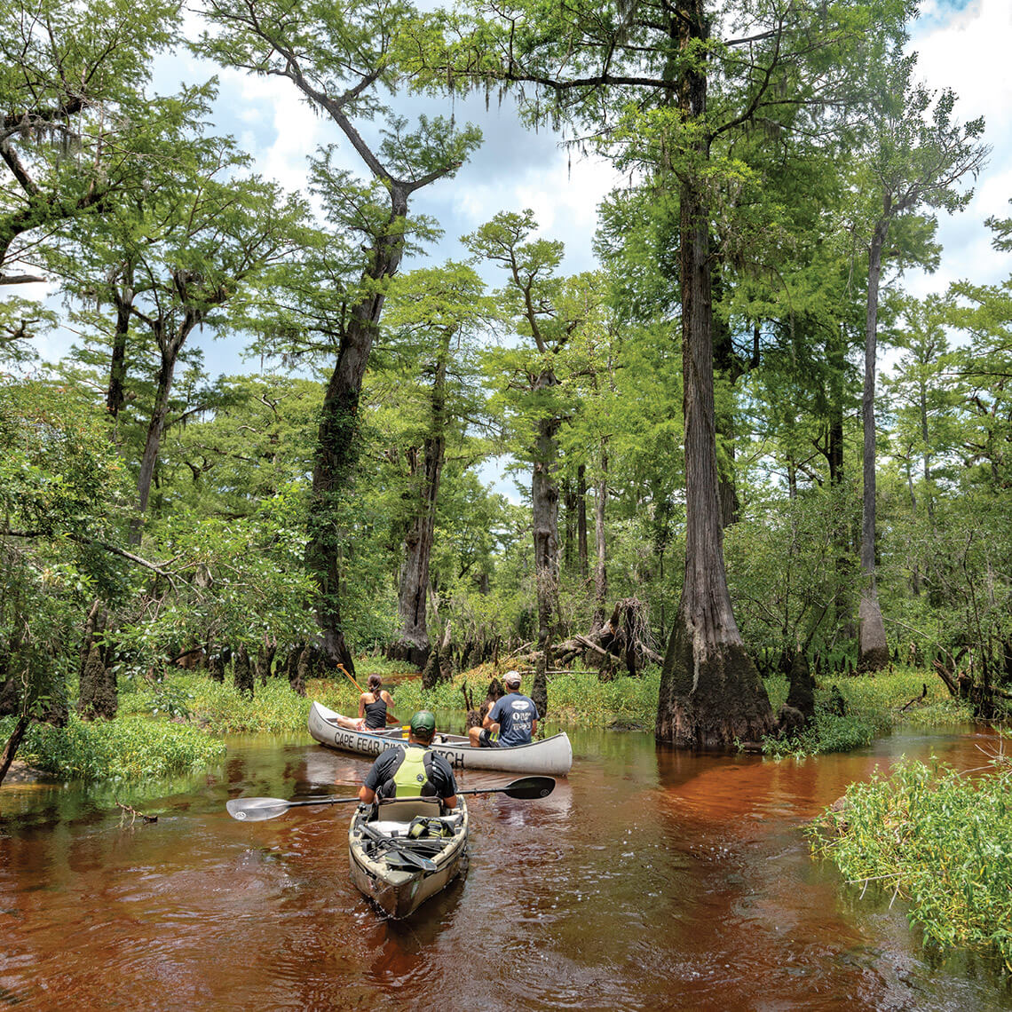 Kayakers at Three Sisters Swamp