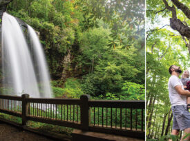 Dry Falls in Highlands, NC, and the champion sugar maple, "Baby," at Airlie Gardens in Wilmington, NC.