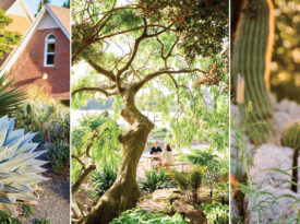Agave and Stanleya pinnata growing; couple in the Juniper Level Botanic Garden
