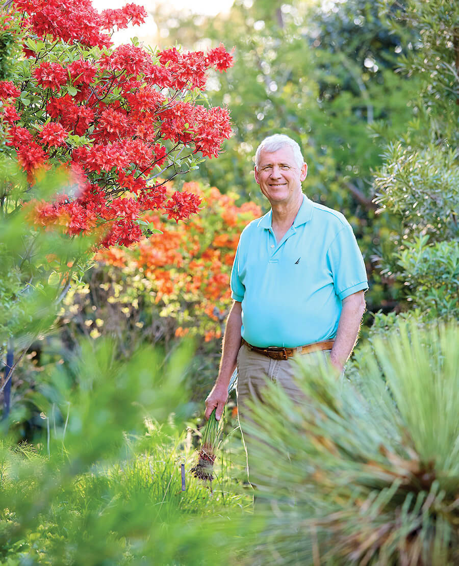 Tony Avent plucking weeds in his garden 