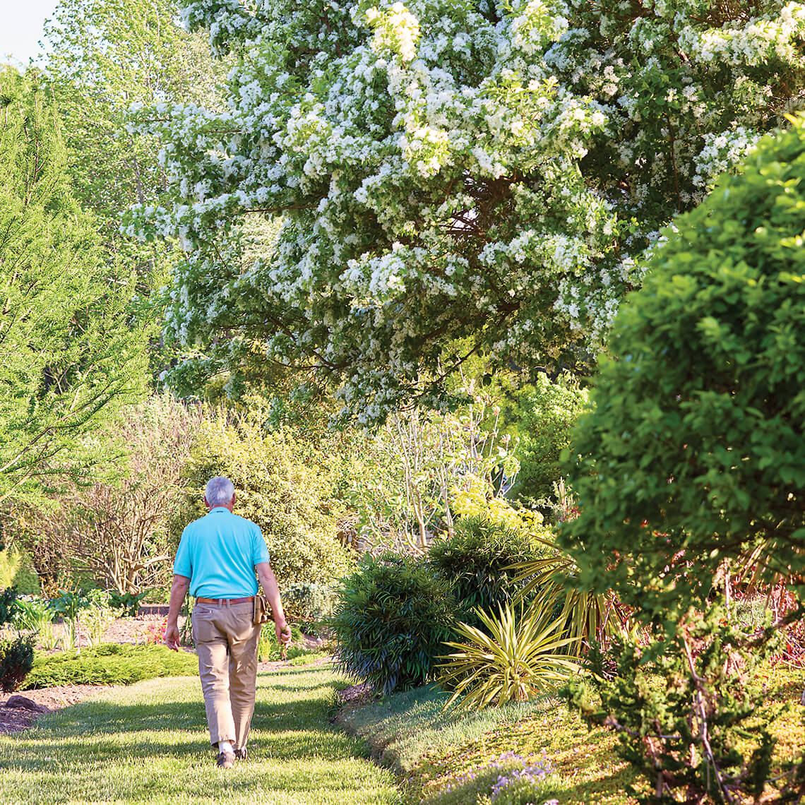 Tony Avent walking through his garden