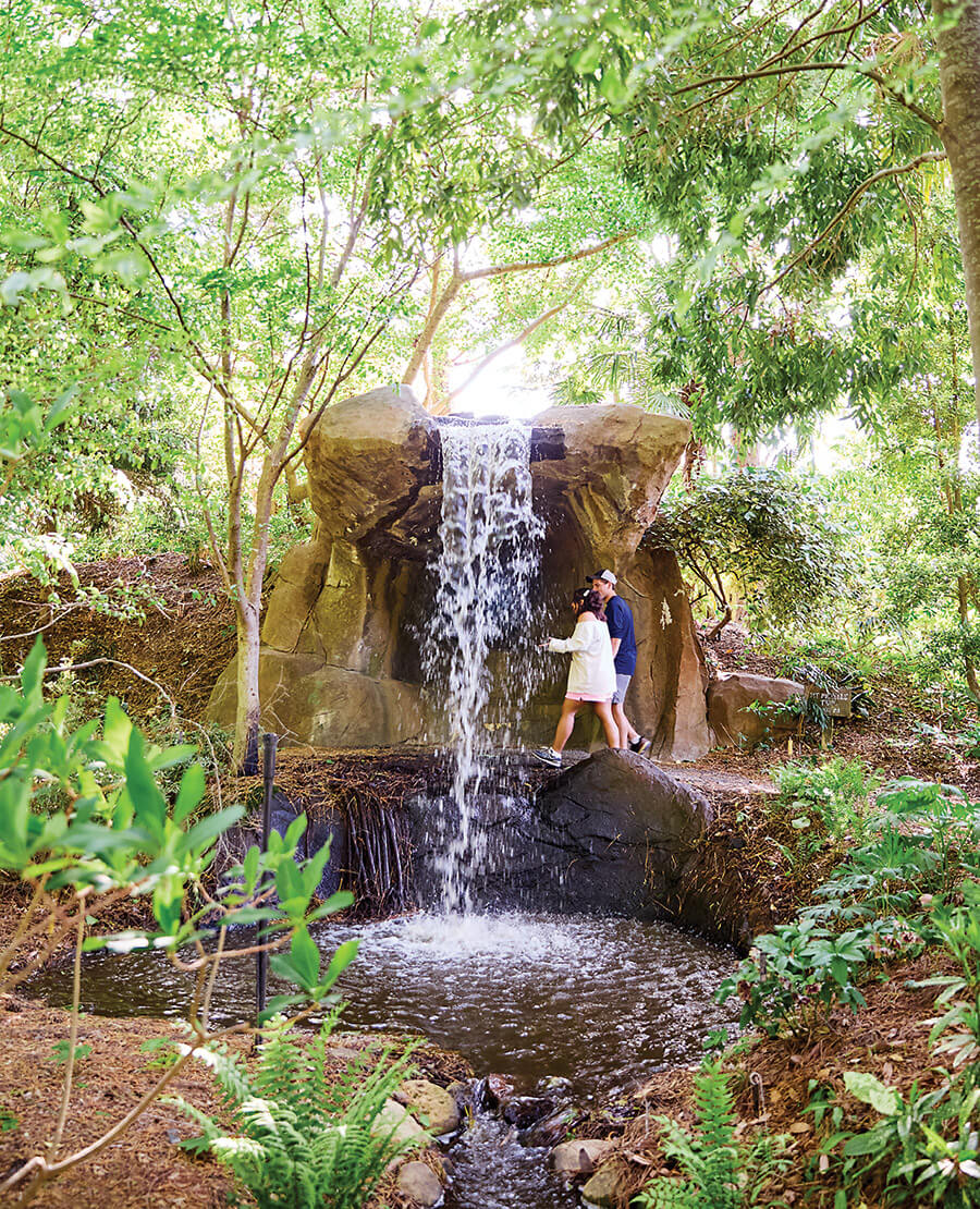 Couple walks by grotto waterfall in Juniper Level Botanic Garden