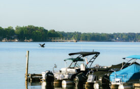 Boats on Lake Norman