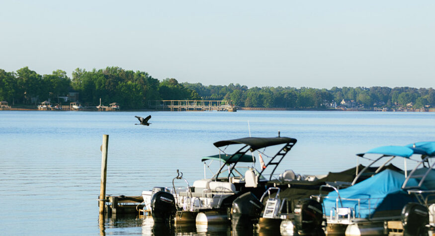 Boats on Lake Norman