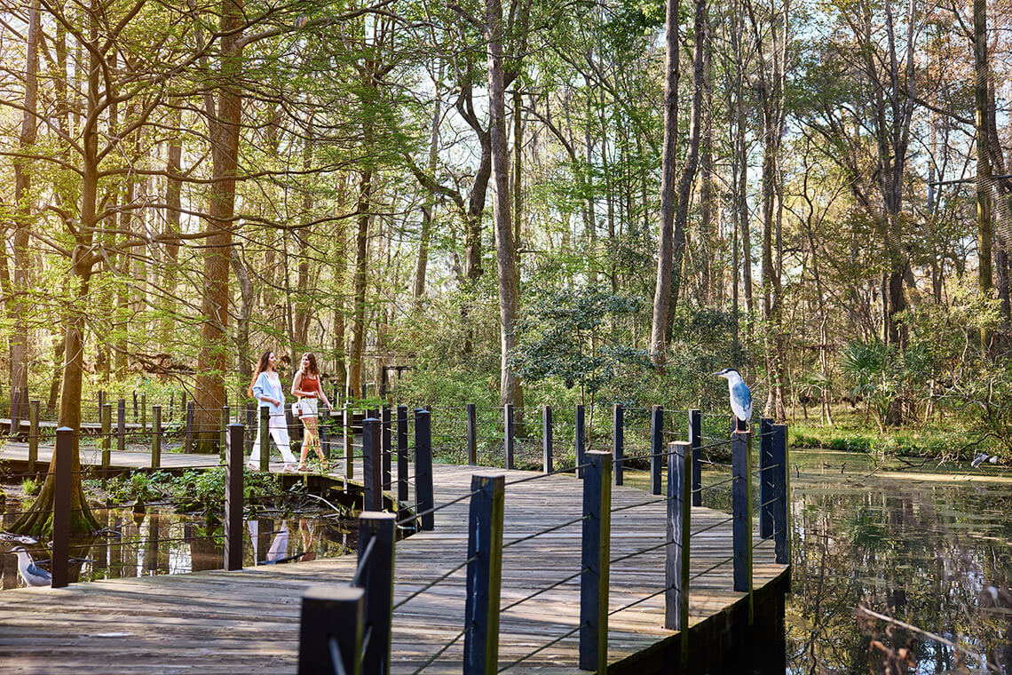 Boardwalk at Brookgreen Gardens in Pawleys Island, SC