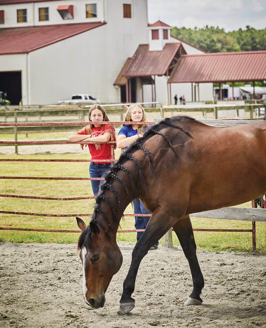 Young girls look at a horse at the Senator Bob Martin Eastern Agricultural Center