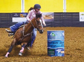Young woman guides a horse around barrels at the Senator Bob Martin Agricultural Center