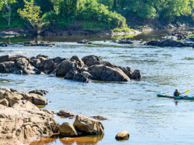 Roanoke River near Weldon