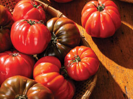 Bowl of heirloom tomatoes