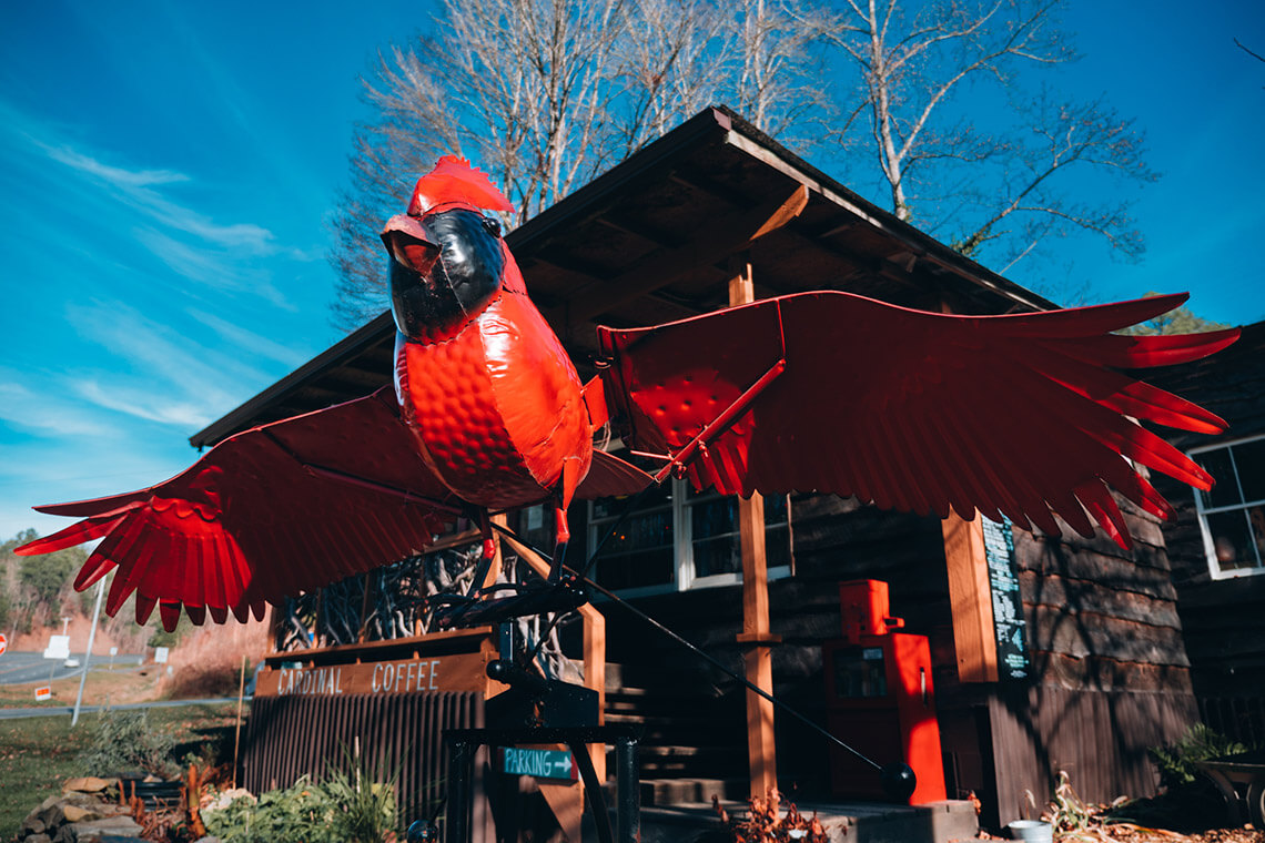Ornamental cardinal outside of Cardinal Coffee in Bryson City