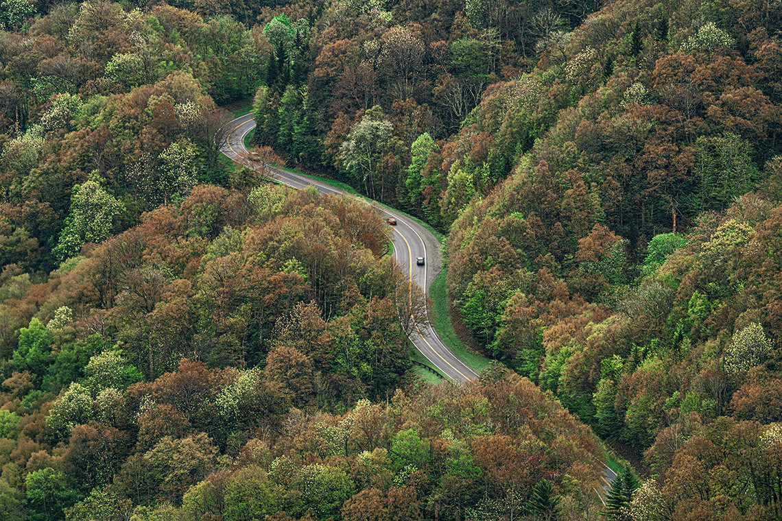 The Tail of the Dragon road