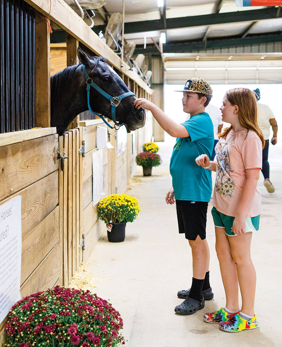 Children pet a horse at the Lenoir County Fair