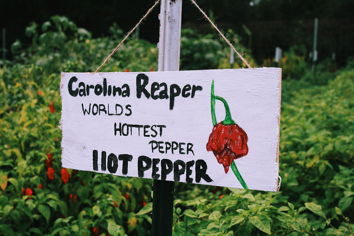 Sign for Carolina Reaper Peppers
