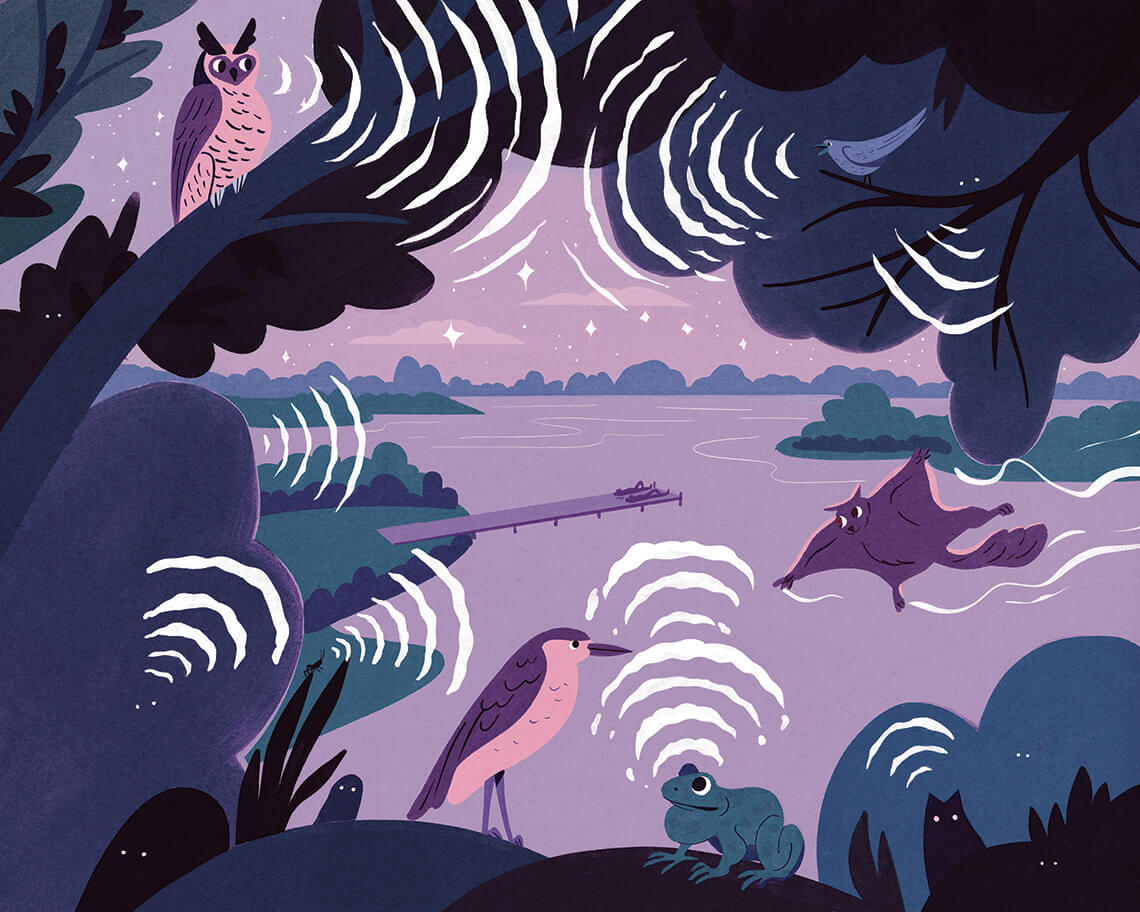 Illustration of birds, owls, bats, and frogs at night