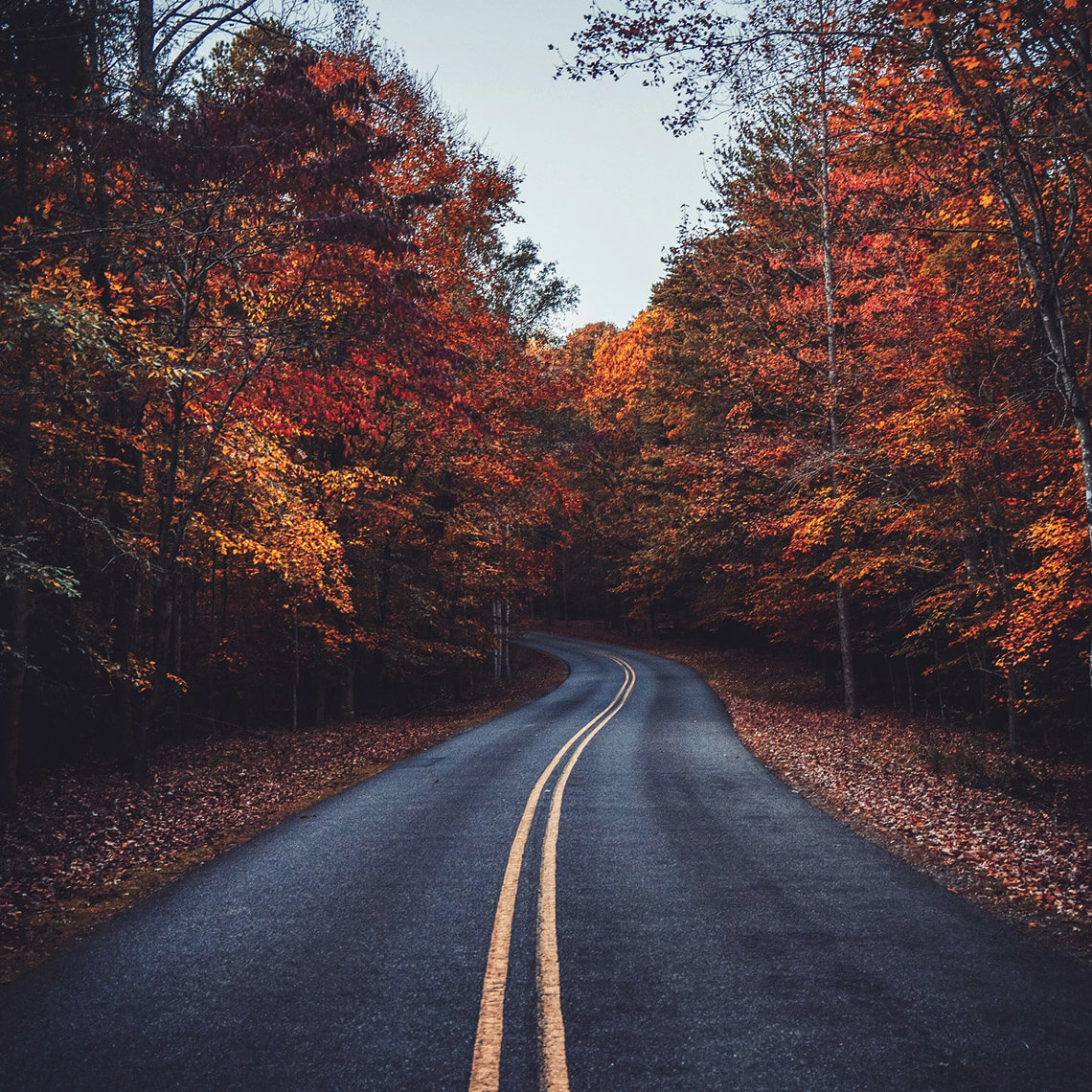 Fall leaves along the road to Lake Norman State Park