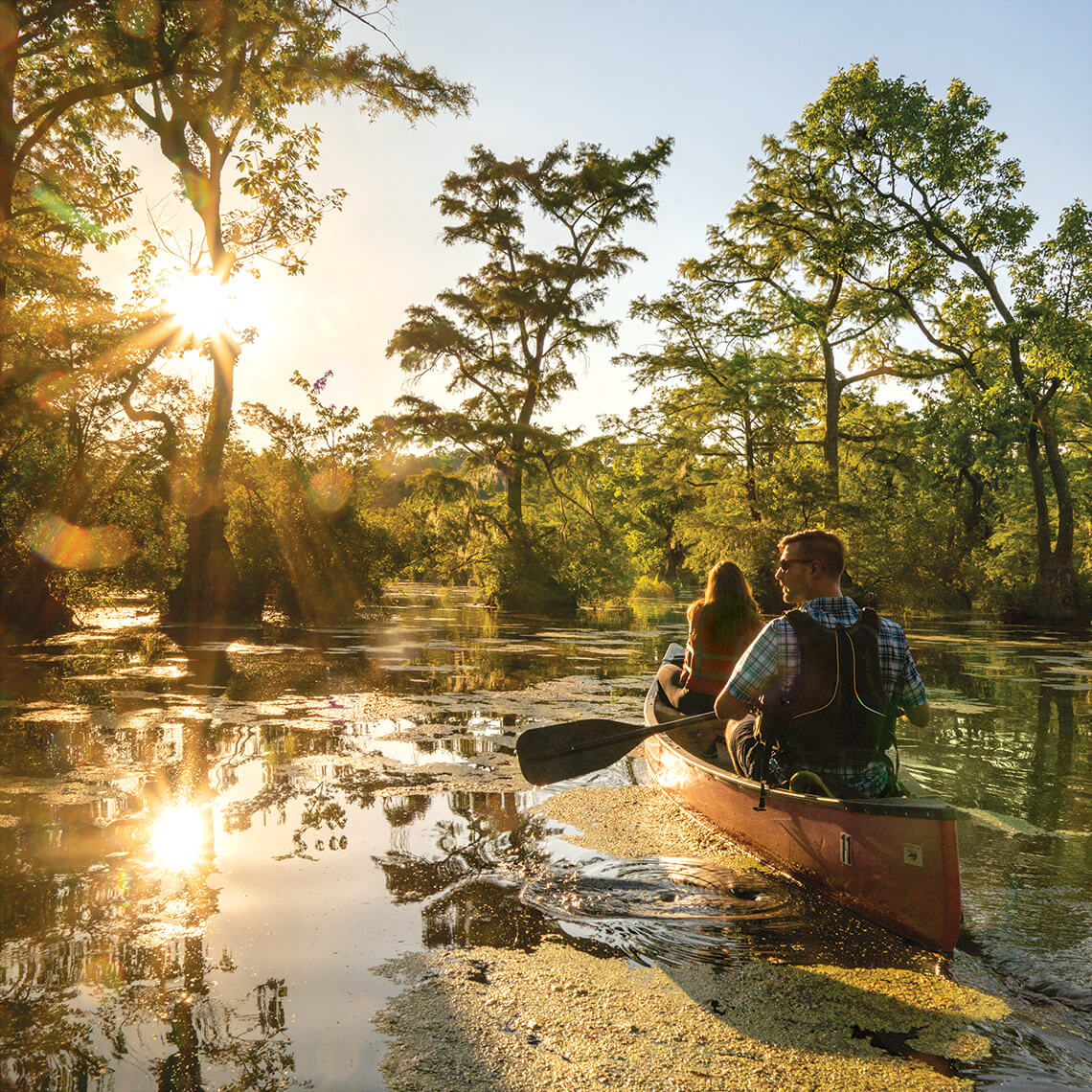 Canoeing at Merchants Millpond State Park
