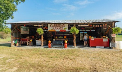 Carrigan Farms produce stand