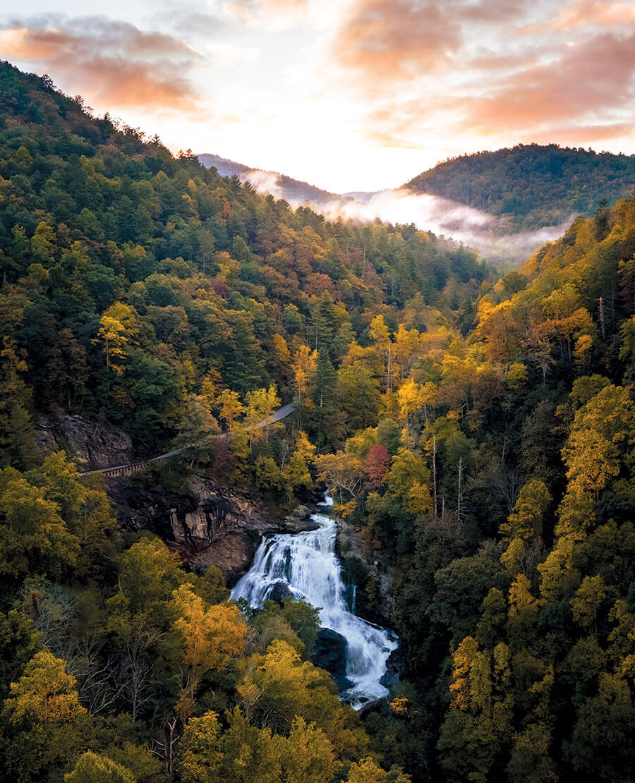 その他 Drew's Famous Sights & Sounds: Waterfalls [DVD] Exploring North Carolina's Waterfall Byway | Our State
