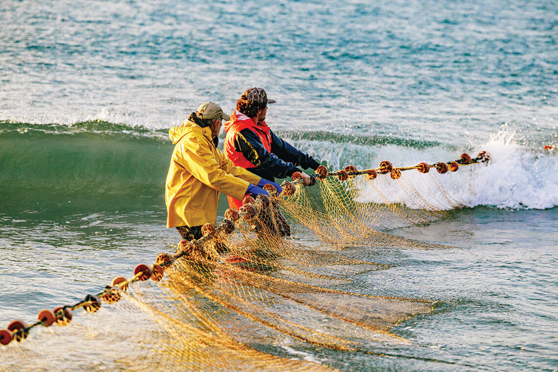 Crew hauls seine nets in the surf
