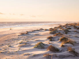 The dunes in Pea Island
