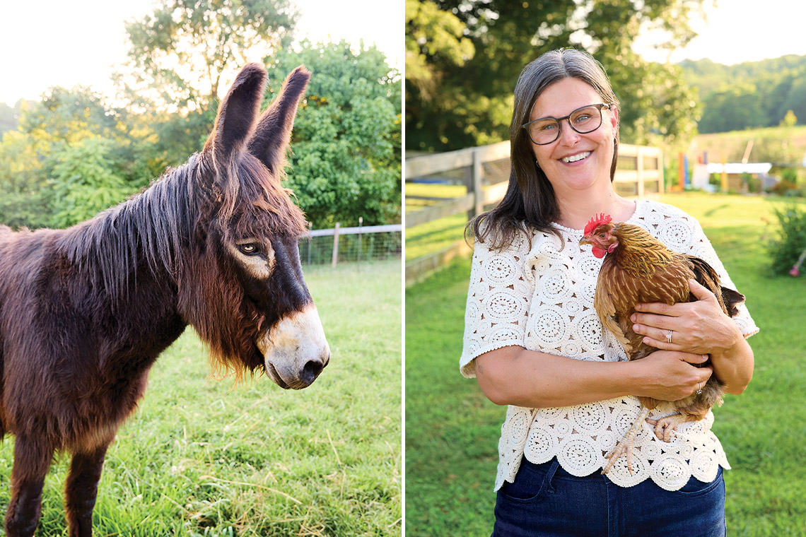 Waylon the donkey and Helen the hen at Naughty Donkey Farm