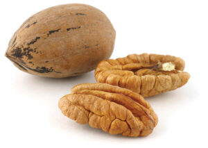 Pecan