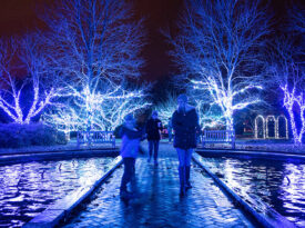 Visitors to Holidays at the Garden at Daniel Stowe Conservancy