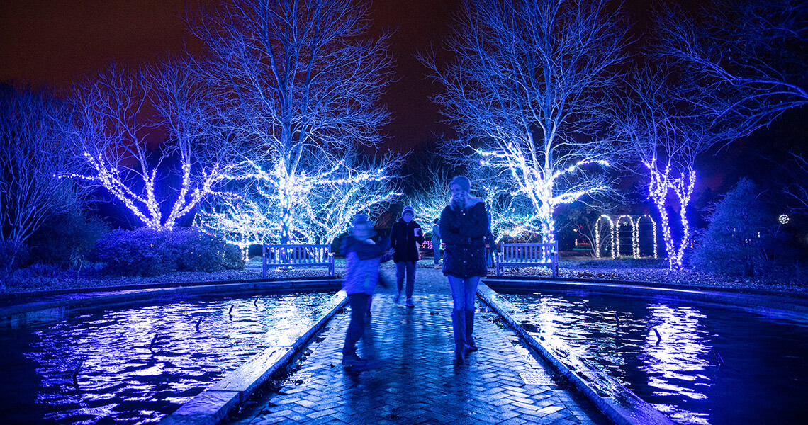 Visitors to Holidays at the Garden at Daniel Stowe Conservancy