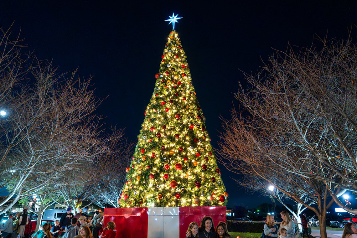 LangTree Christmas Tree Lighting