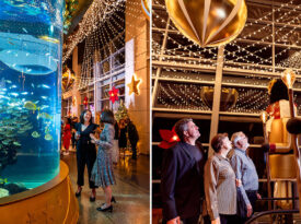 People at the South Carolina Aquarium's Aquarium Aglow event
