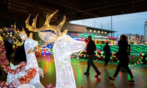 Illuminated reindeer