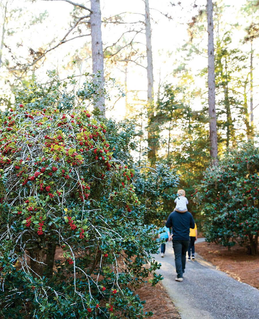 Family strolls through the Ebersole Holly Garden