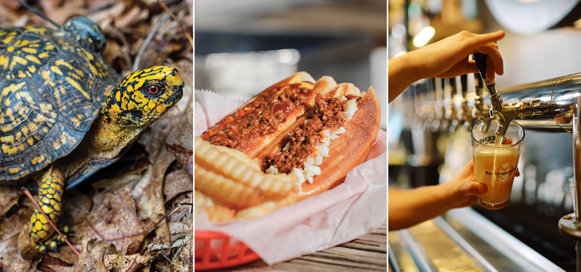 Snapping turtle, chili dog, and pouring beer
