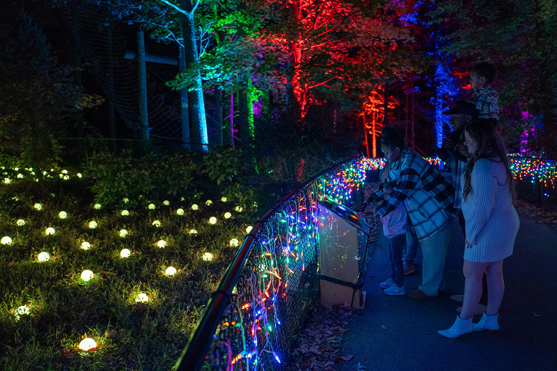 Press buttons to see orbs light up at the Greensboro Science Center