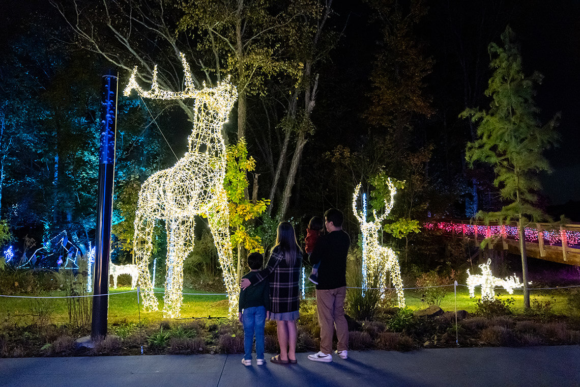 Illuminated reindeer