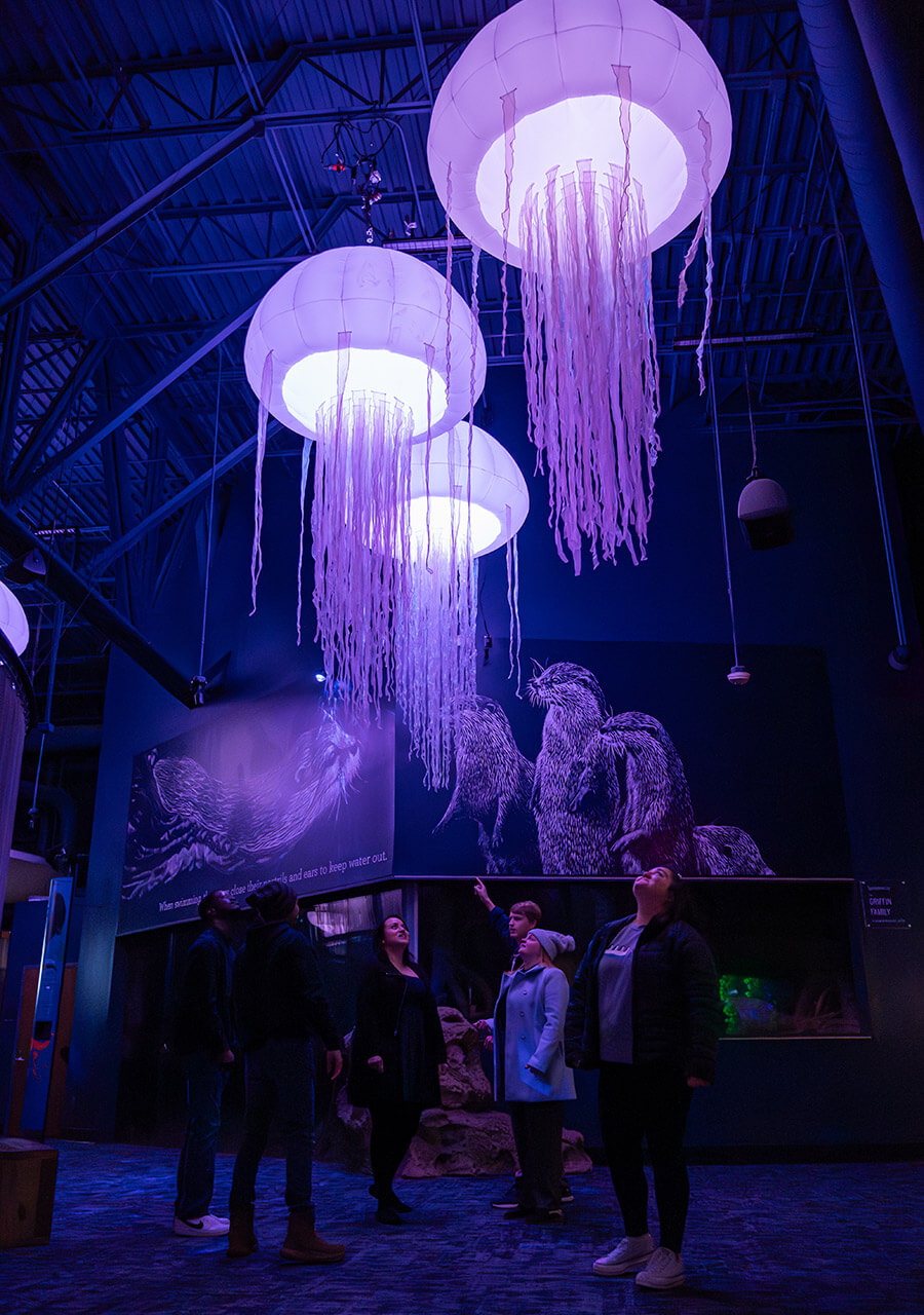 Decorative jellyfish hanging in the Greensboro Science Center aquarium