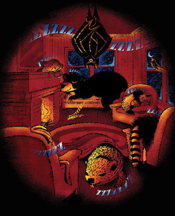 Illustration of a bear, porcupine, and beaver asleep by the fire