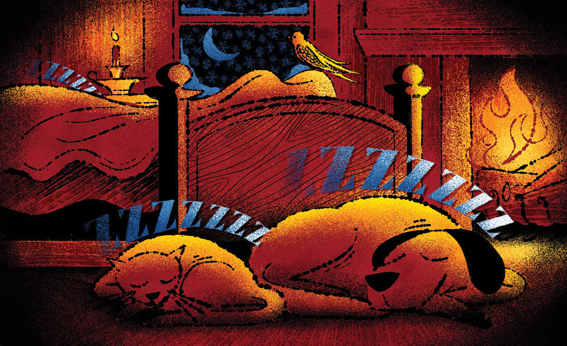 Illustration of dog, cat, and bird snoozing in a bedroom