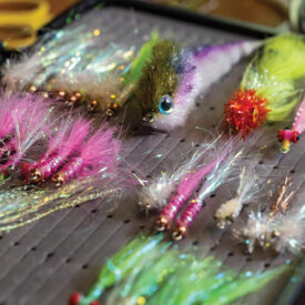 Sparkly lures for fishing
