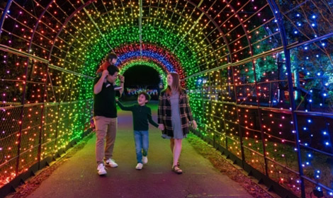 Family walking through tunnel of lights