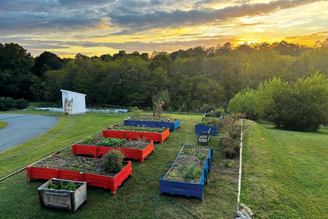 Raised garden beds at Peacehaven