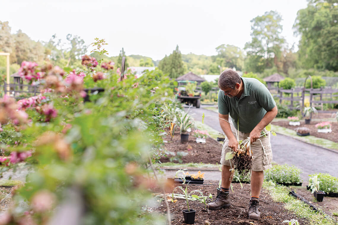 Jon Roethling gardens at Reynolda Gardens
