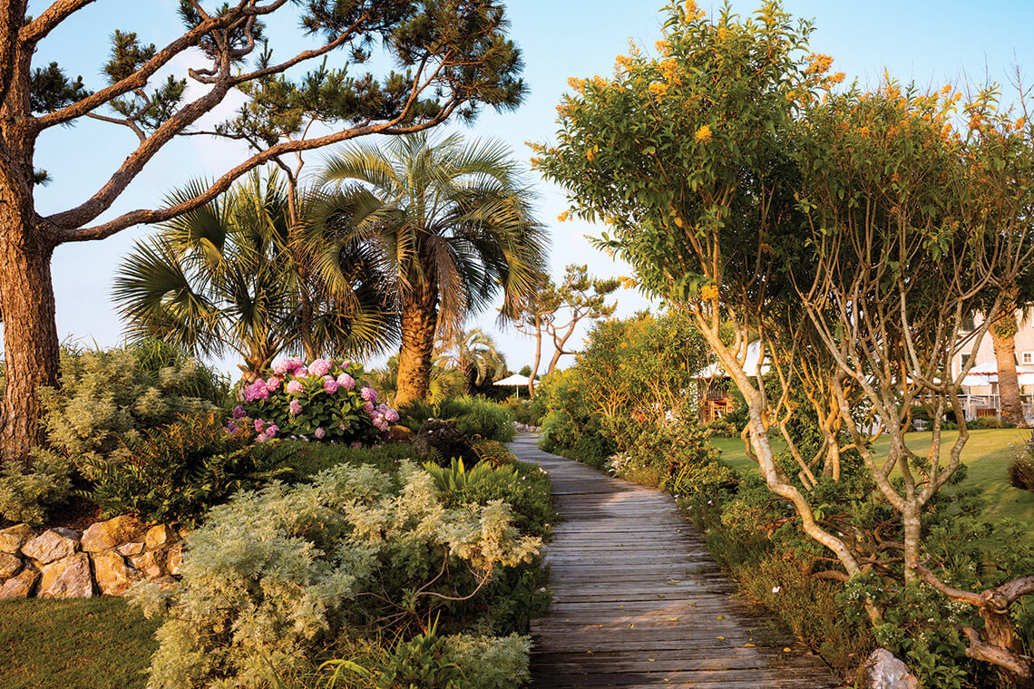 Garden at Trailborn Surf & Sound