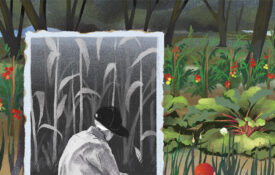 Illustration of boy and grandfather tending their garden