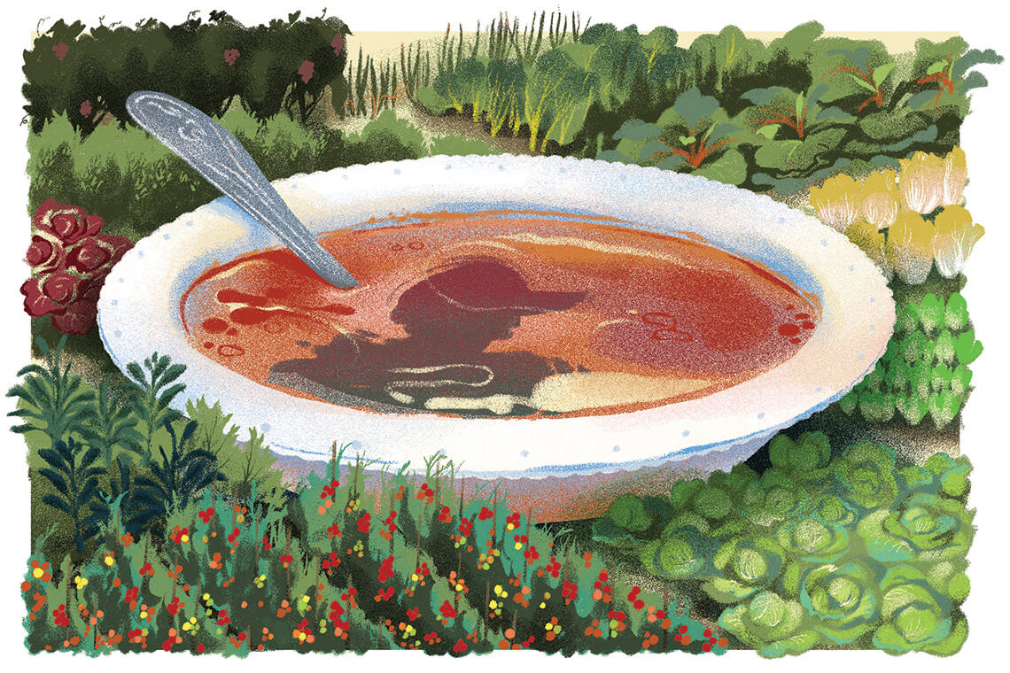 Illustration of vegetable soup