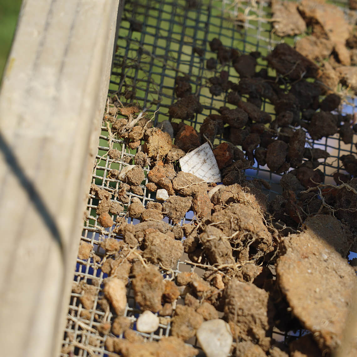 Panning for artifacts at the Halifax courthouse site