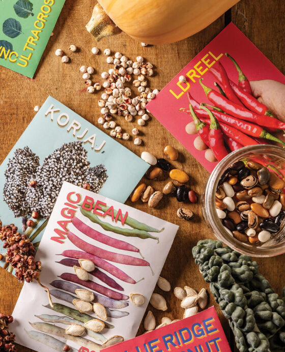 Seeds from Appalachian Seed Growers Collective