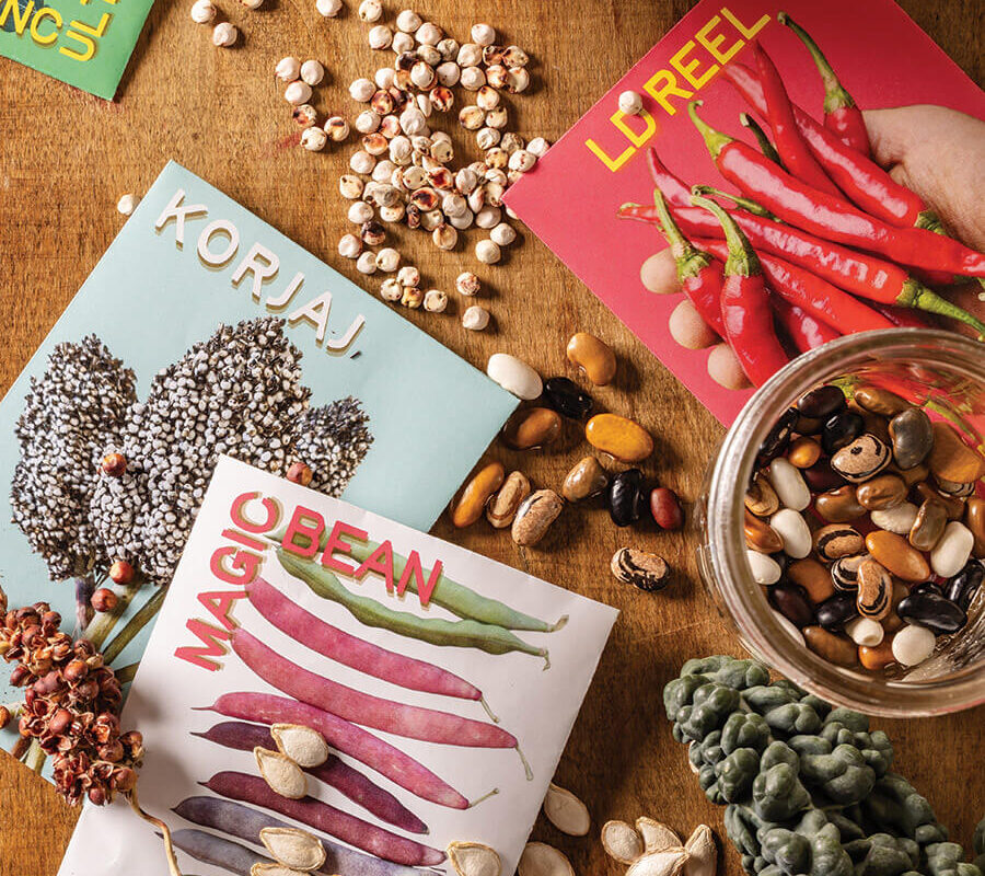 Seeds from Appalachian Seed Growers Collective