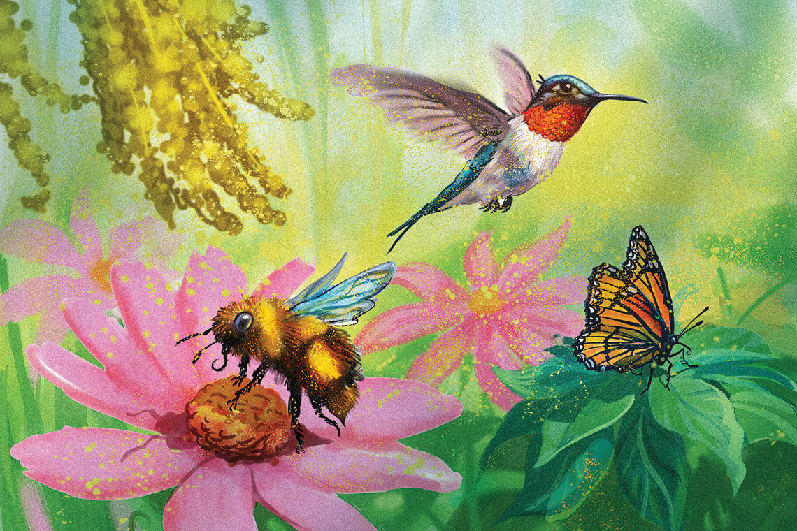 Illustration of bird, bee, and butterfly pollinating flowers